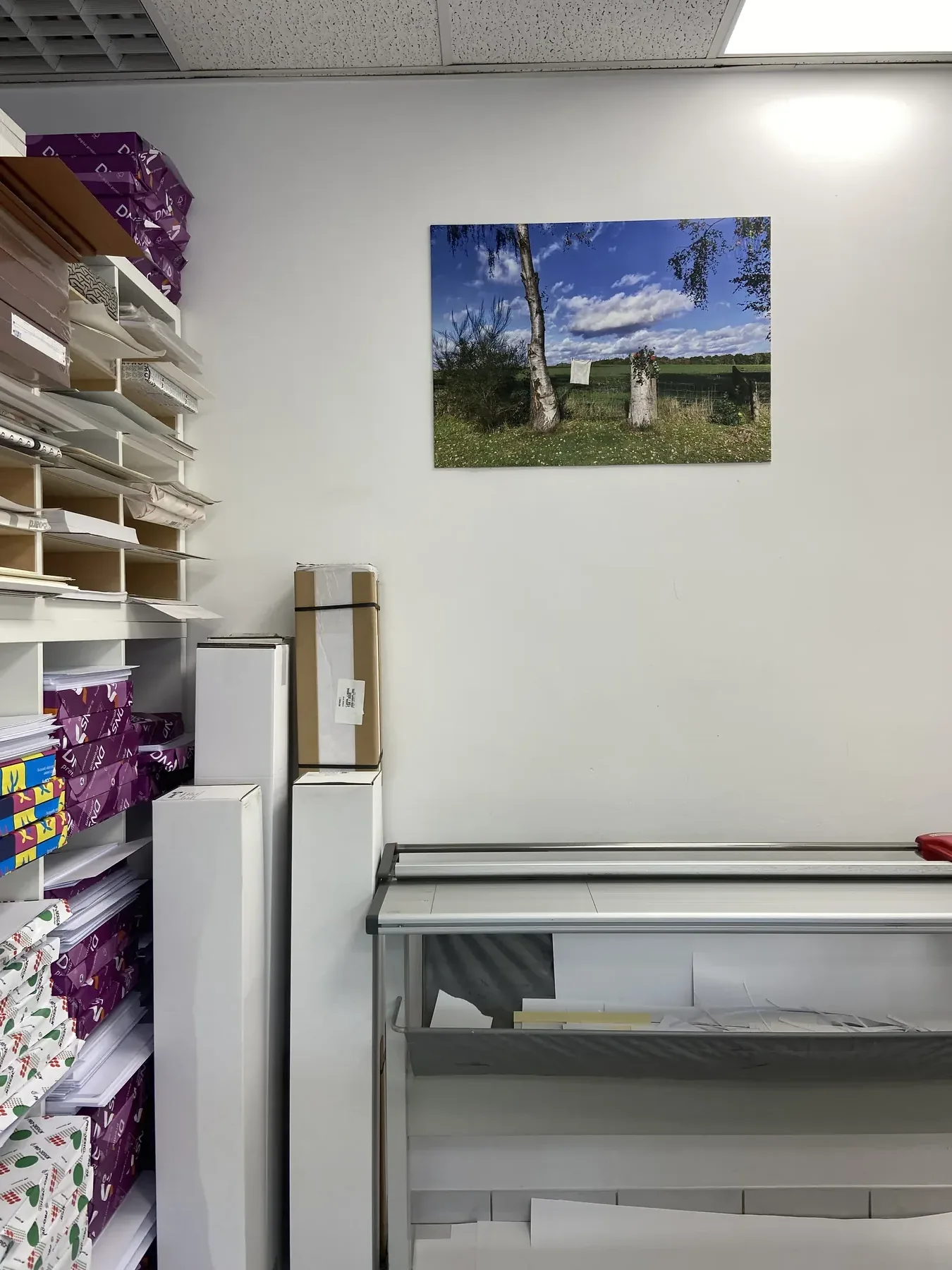 Vorberg 39 – Fotografie, Katinka Molde