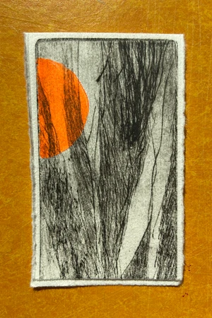 Edition 26